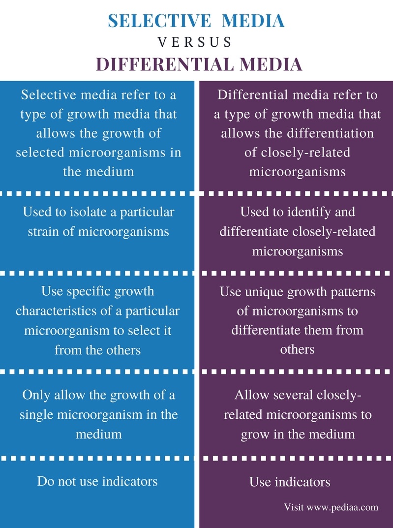 Microbiology Culture Media Chart