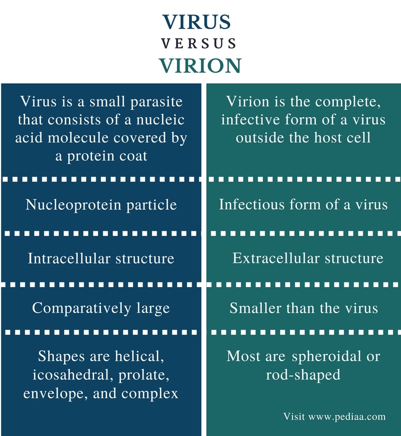 Difference Between Virus and Viroids