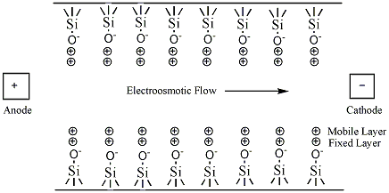 How Does Capillary Electrophoresis Work
