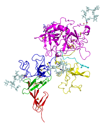 How Does Tissue Plasminogen Activator Work