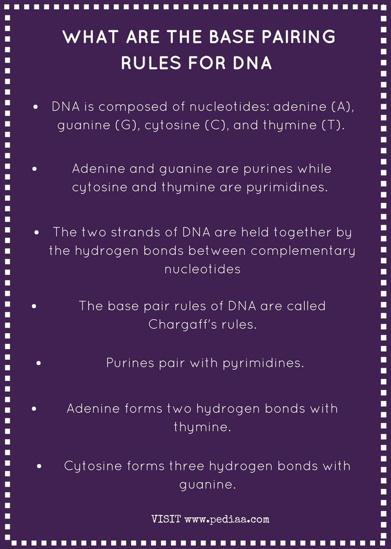 What Are The Dna Base Pairing Rules