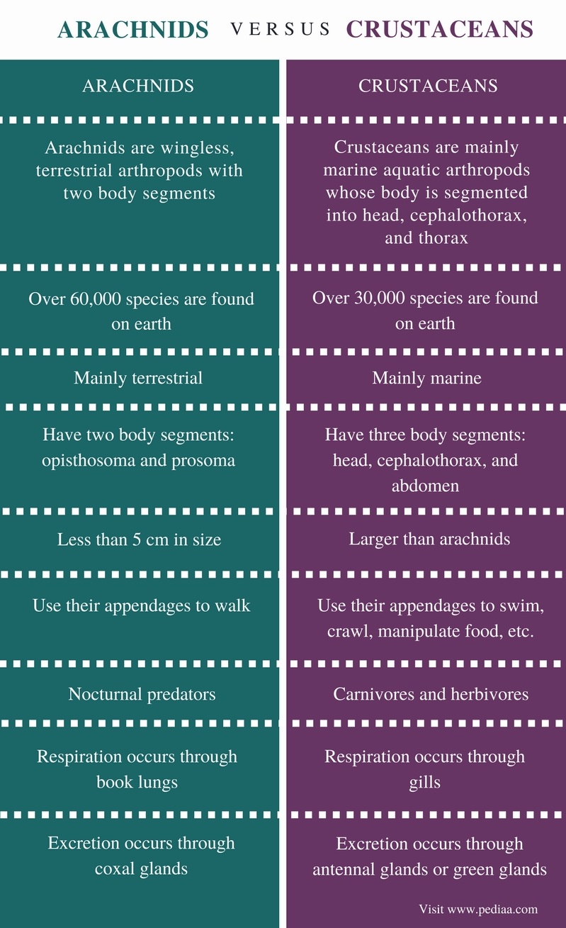 difference-between-arachnids-and-crustaceans-pediaa-com