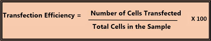How to Calculate Transfection Efficiency