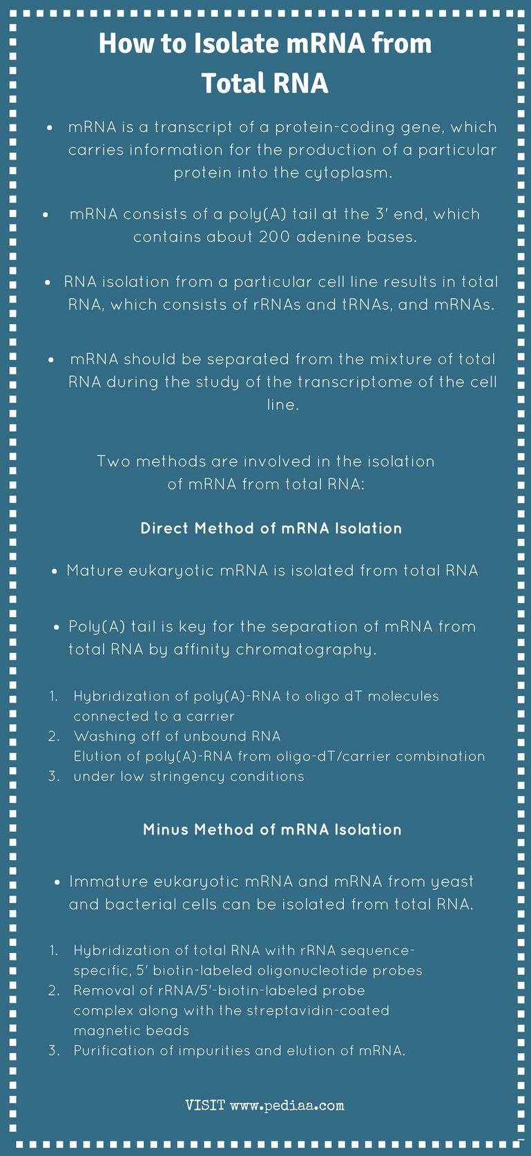How to Isolate mRNA from Total RNA