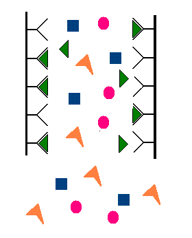 How to Isolate mRNA from Total RNA