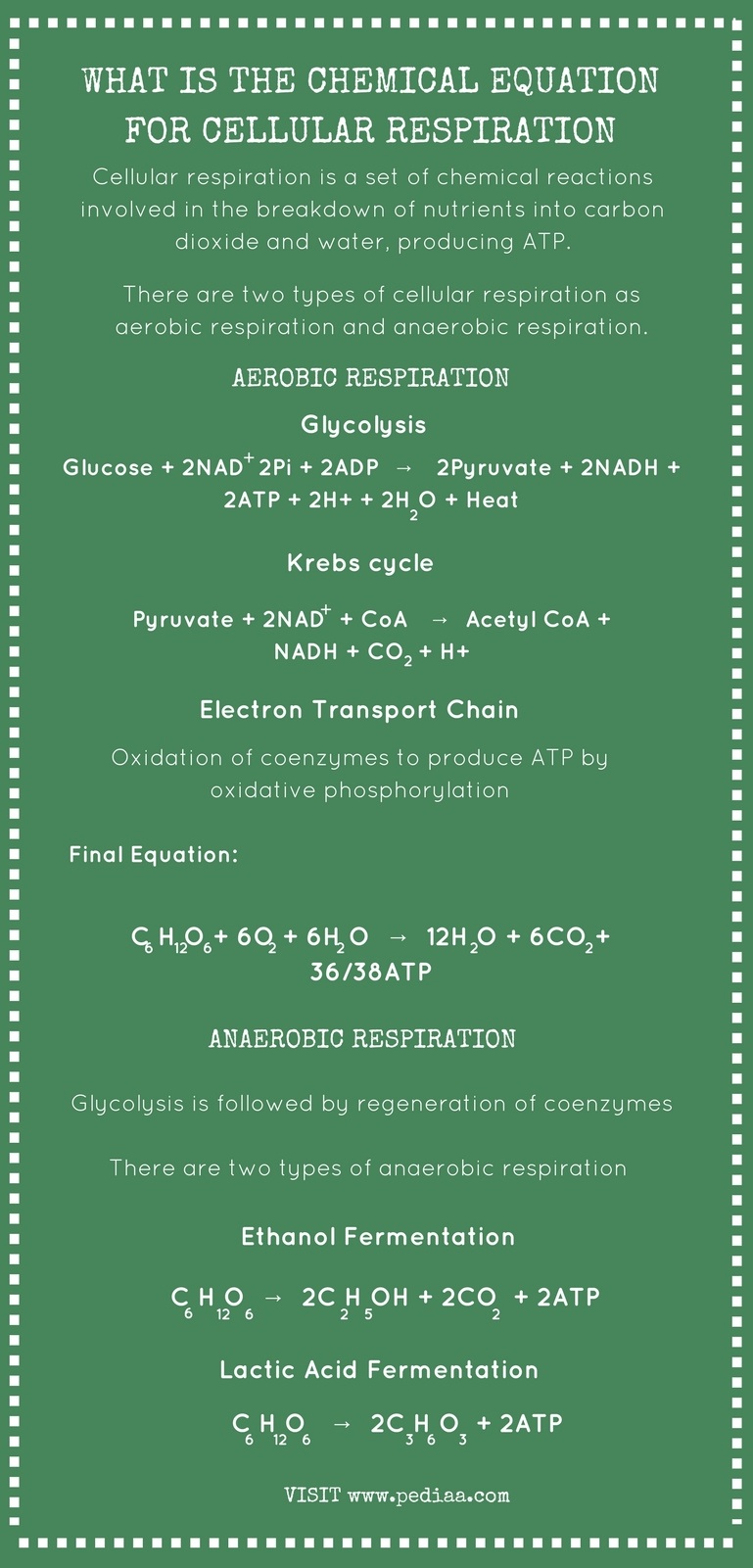 What Is The Chemical Equation For Cellular Respiration Pediaa Com