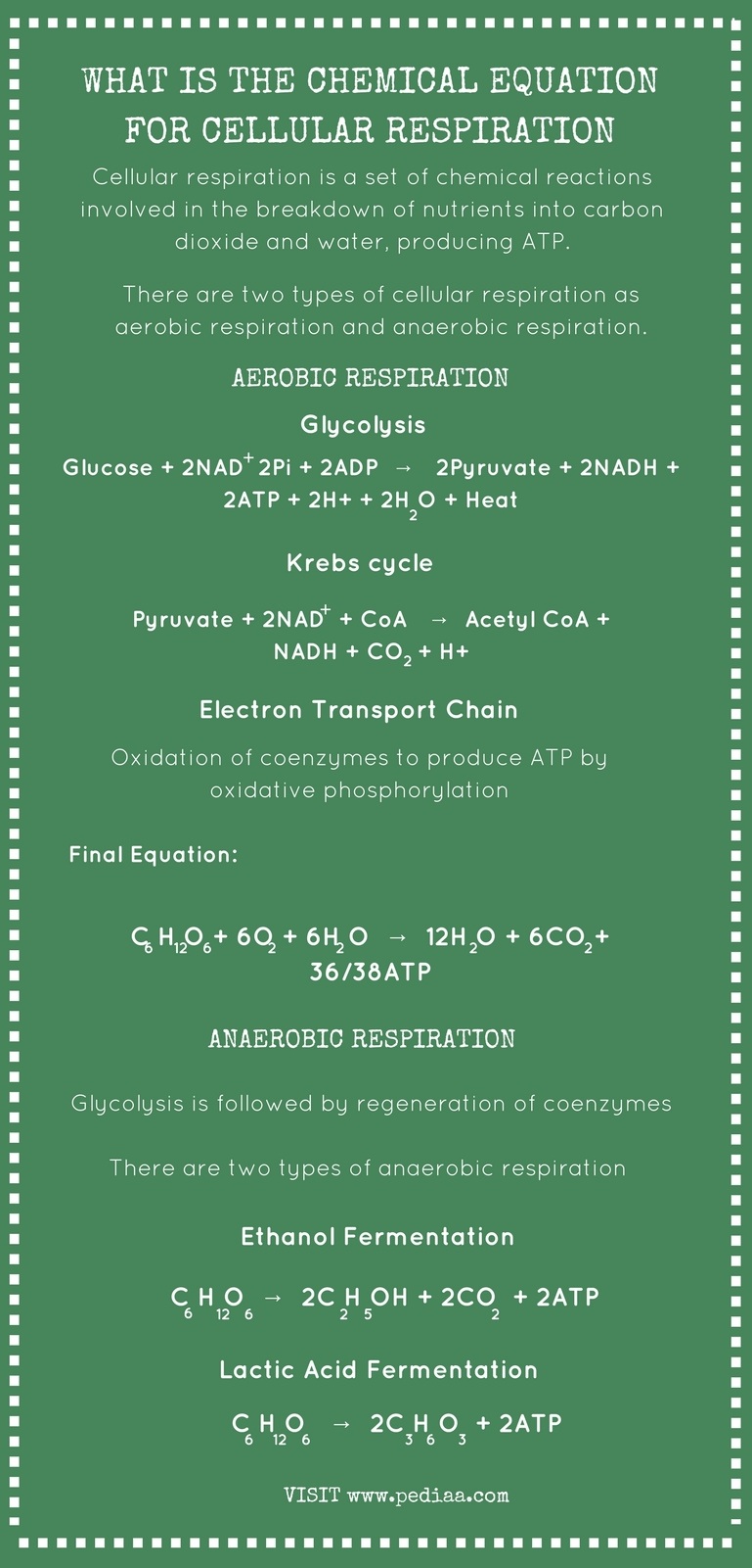 what-is-the-chemical-equation-for-cellular-respiration-pediaa-com