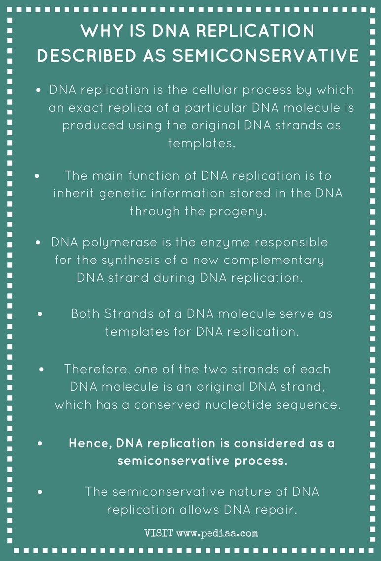 why-is-dna-replication-described-as-semiconservative-pediaa-com