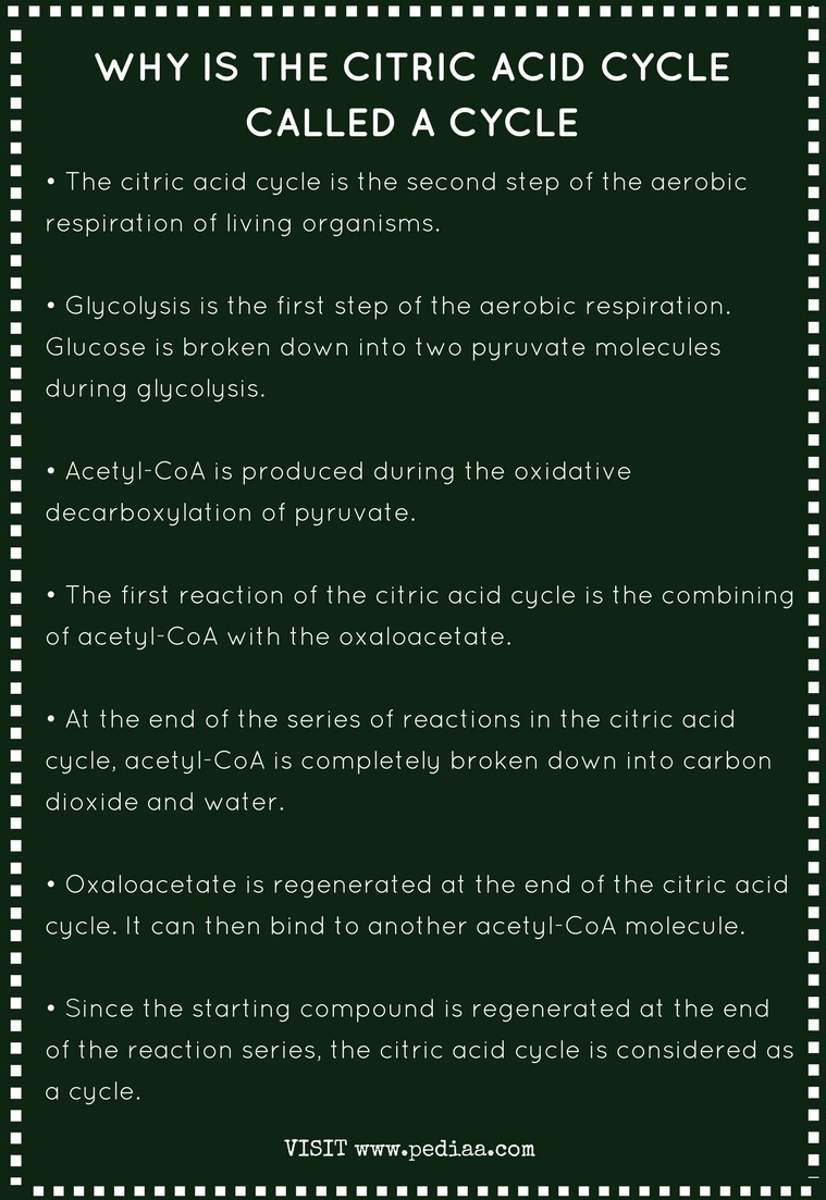 Why Is The Citric Acid Cycle Called A Cycle Pediaa Com