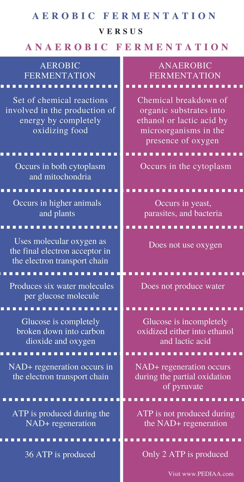 difference between anaerobic respiration and fermentation