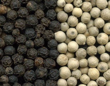 Difference Between Black Pepper and White Pepper