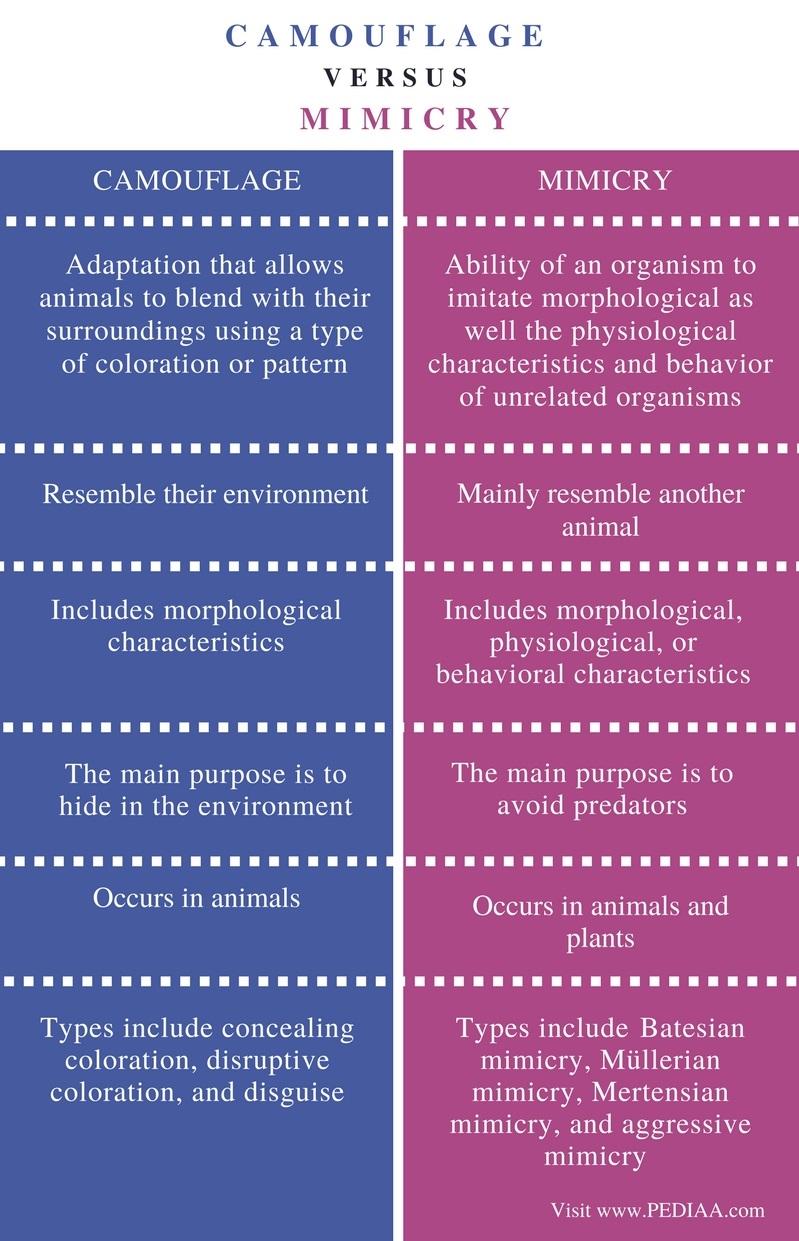 Difference Between Camouflage And Mimicry Definition Types Examples And Differences
