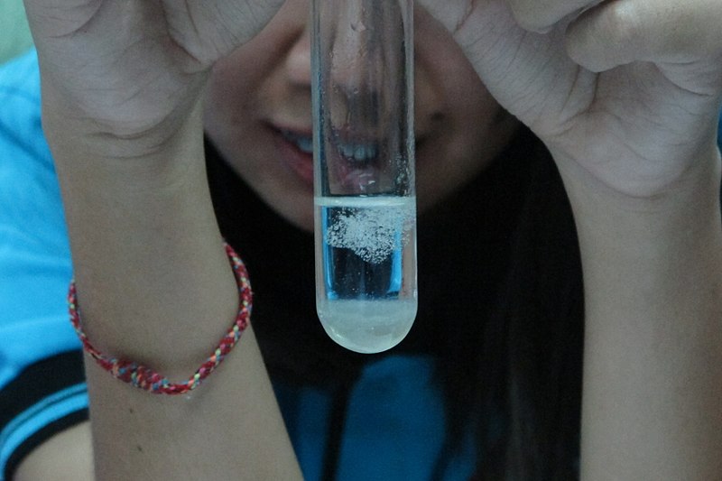 difference-between-dna-and-rna-extraction-pediaa-com