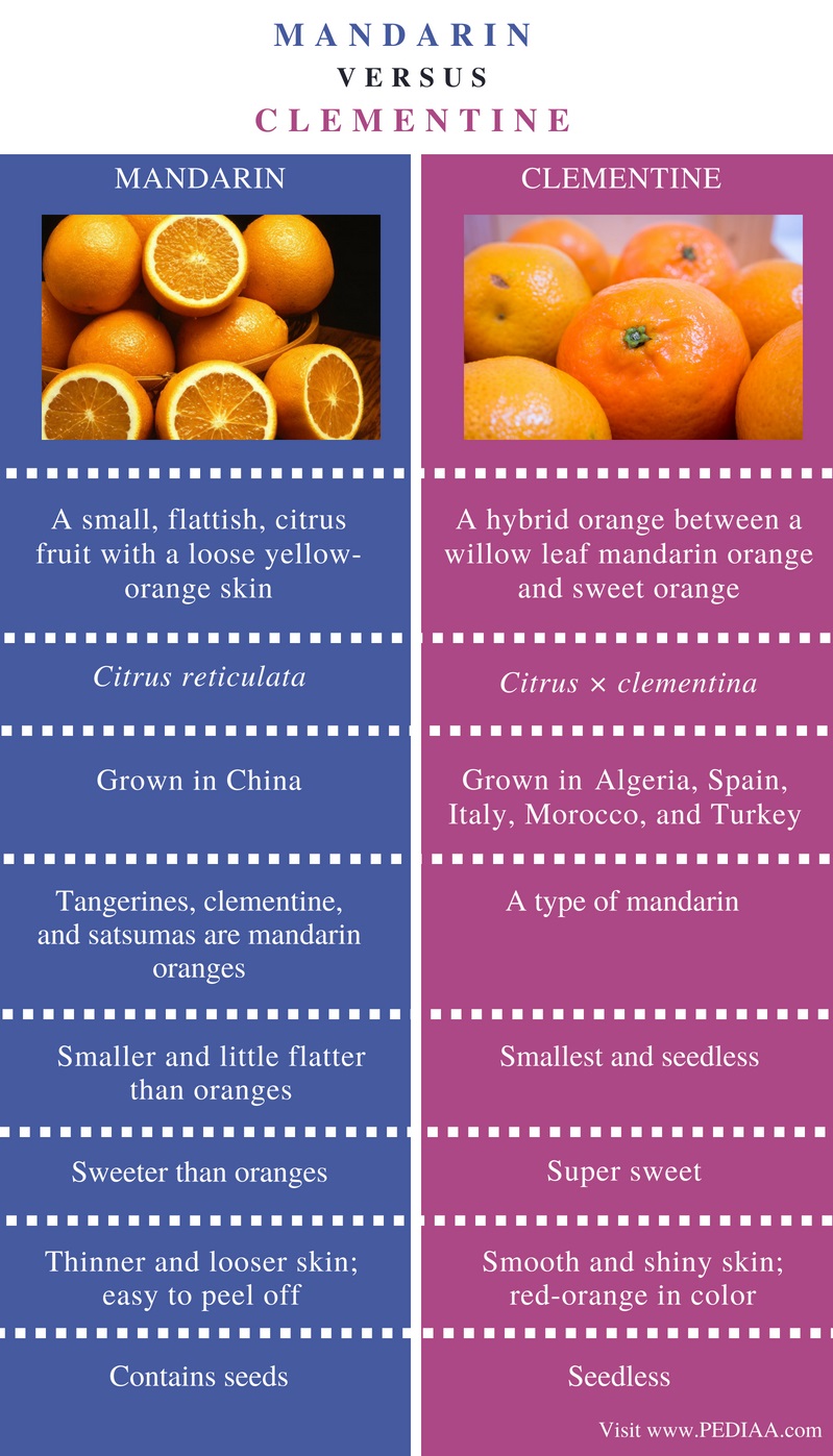 Clementine Mandarine Unterschied