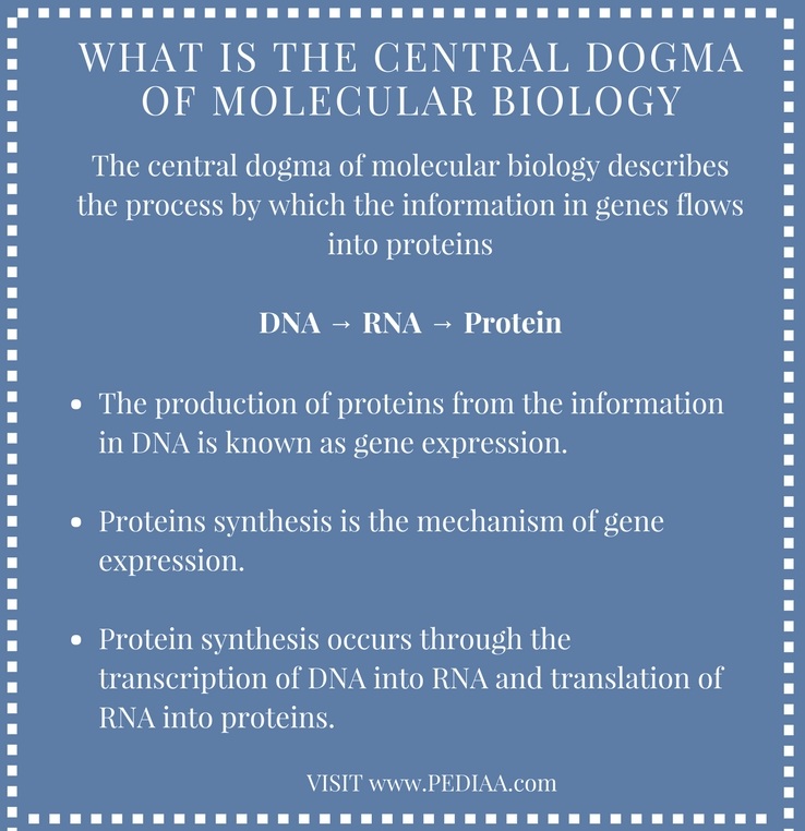 what-is-the-central-dogma-of-molecular-biology