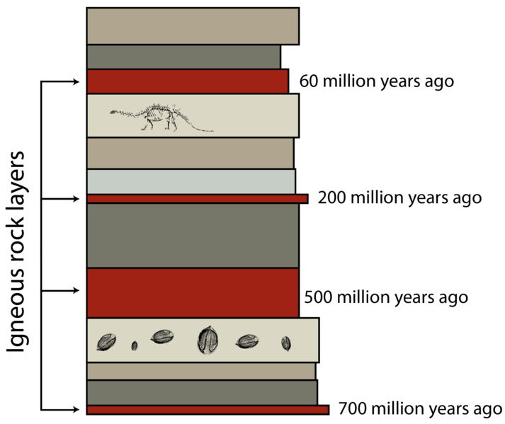 Hauptunterschied - Absolute und Relative Datierung