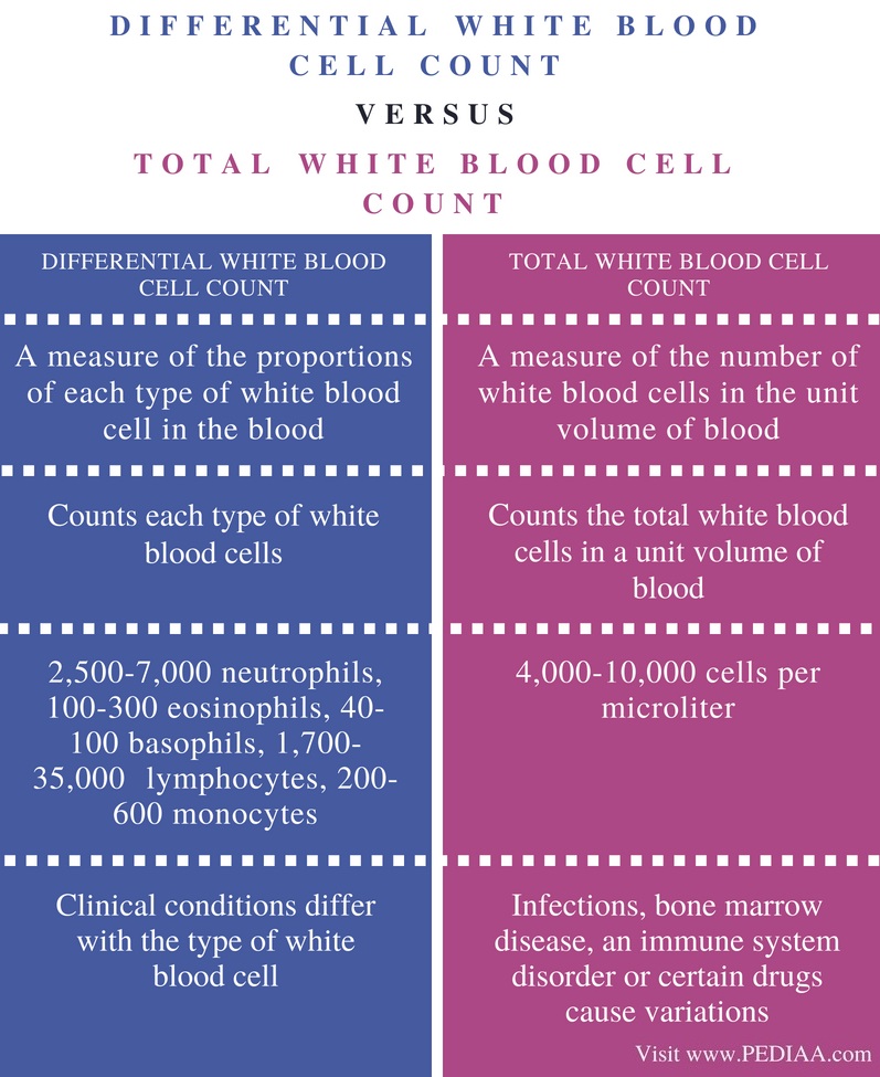 Difference Between Differential And Total White Blood Cell Count Pediaa Com