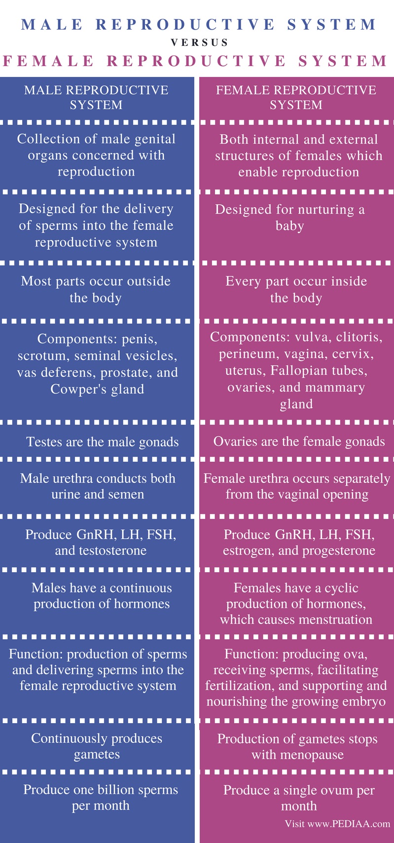 Difference Between Male and Female Reproductive System - Pediaa.Com