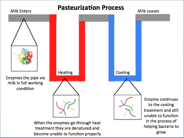 Difference Between Pasteurized And Ultra Pasteurized Milk Pediaa Com