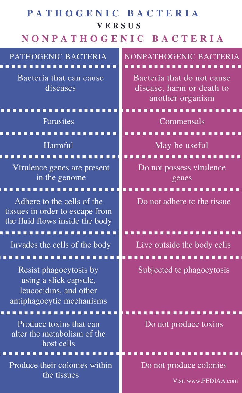 difference-between-pathogenic-and-nonpathogenic-bacteria-pediaa-com