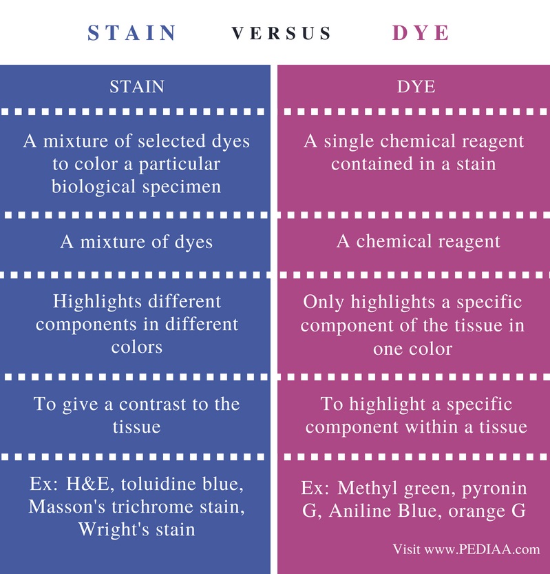Difference Between Stain And Dye In Histology Pediaa Com