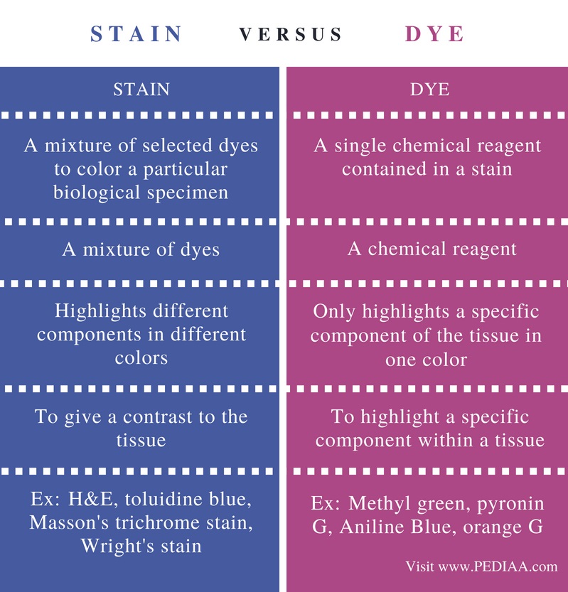 difference-between-stain-and-dye-in-histology-pediaa-com