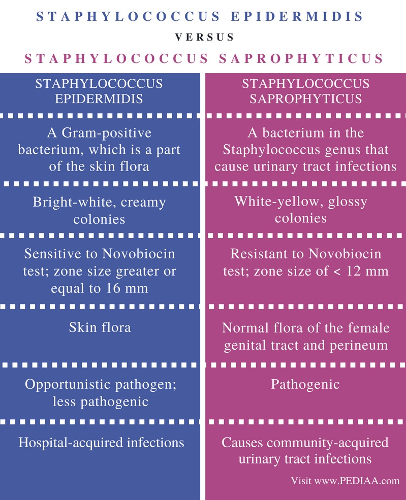 Difference Between Staphylococcus Epidermidis And Staphylococcus