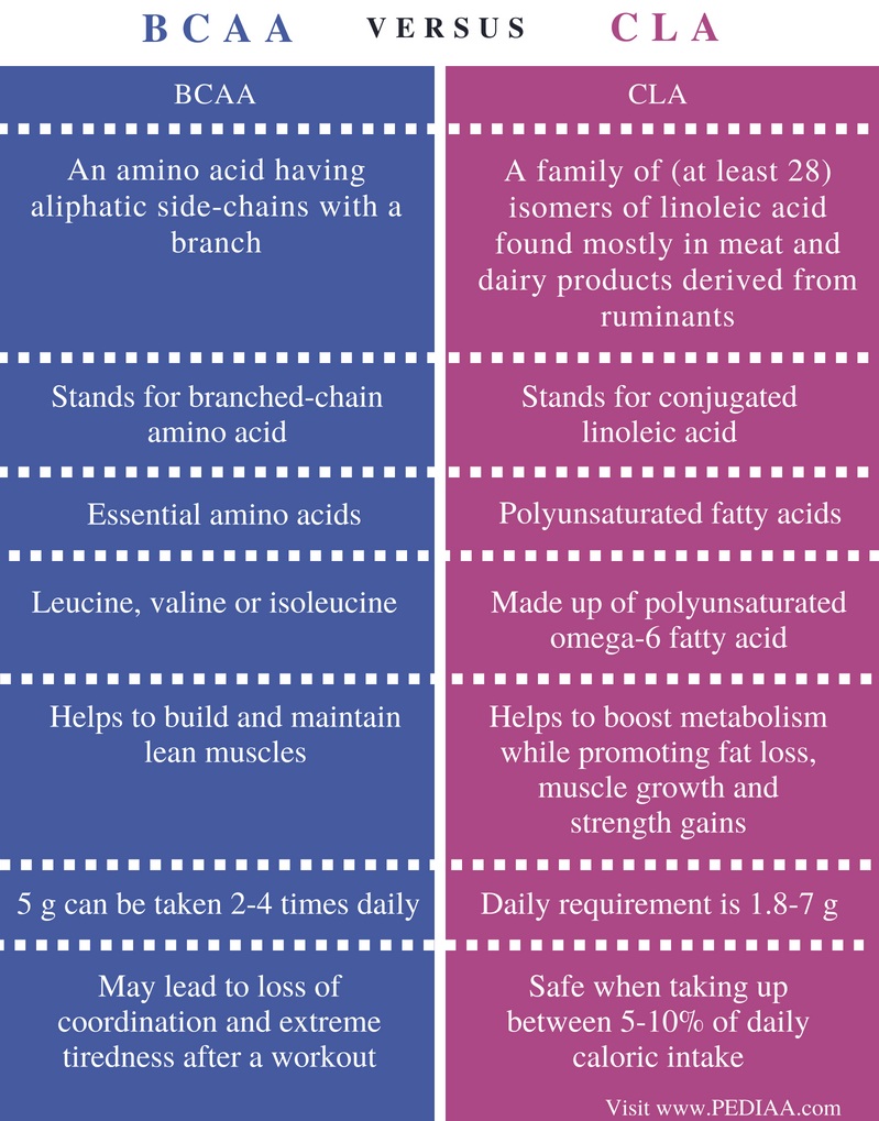 Difference Between BCAA and CLA