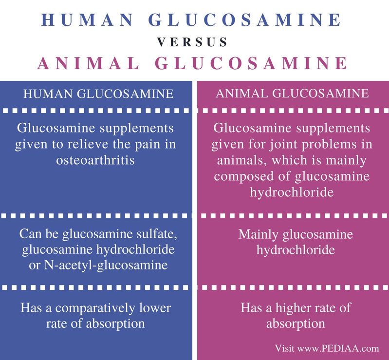 Difference Between Human and Animal Glucosamine
