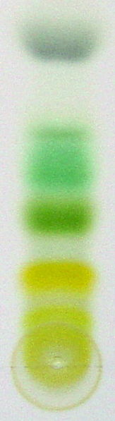 Main Difference - Preparative and Analytical Chromatography