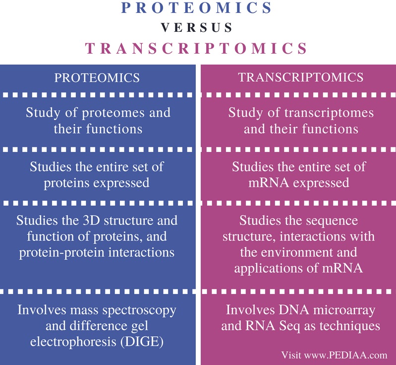 Difference Between Proteomics And Transcriptomics Pediaa