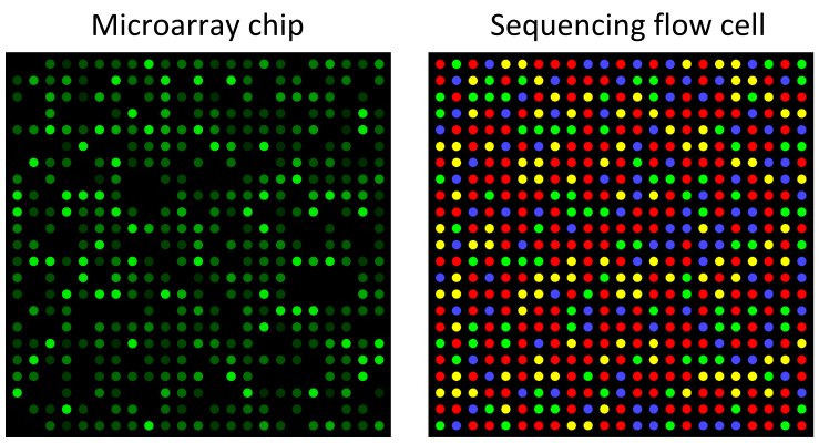 Main Difference - Proteomics and Transcriptomics