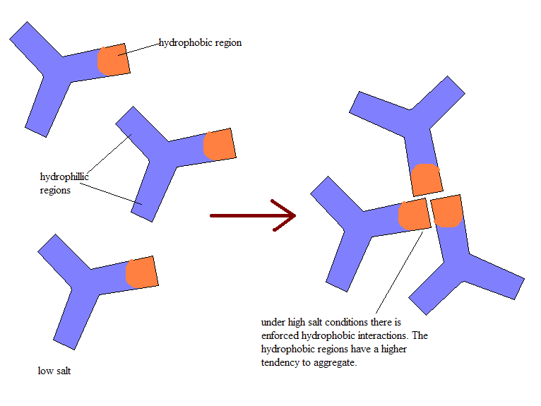 Main Difference - Reverse Phase and Hydrophobic Interaction Chromatography