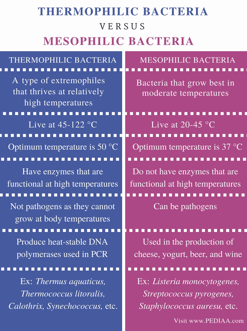 difference-between-thermophilic-and-mesophilic-bacteria-pediaa-com