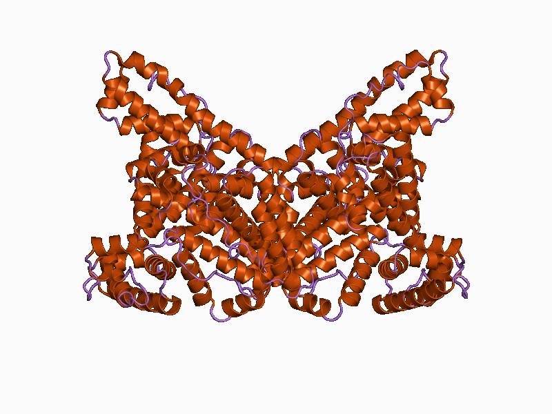 albumin-serum-albumin-labpedia