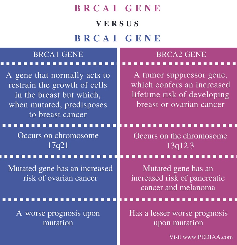 Difference Between Brca1 And Brca2 Gene Pediaacom 