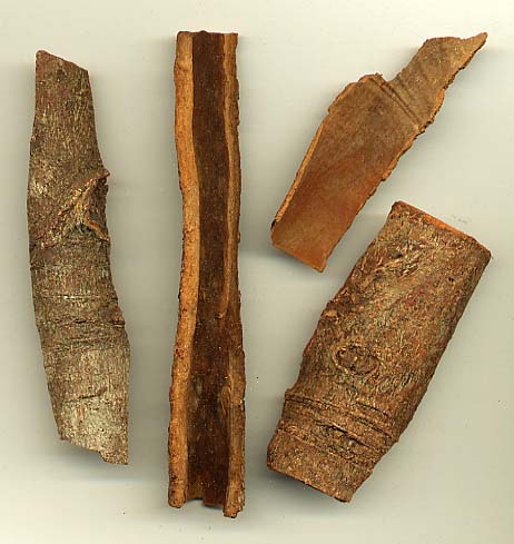 Difference Between Cassia and Cinnamon_Figure 1