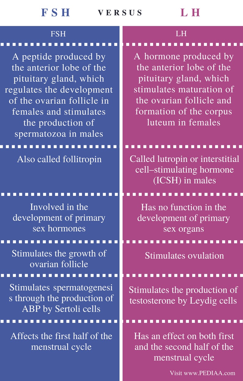 Difference Between FSH And LH Pediaa Com