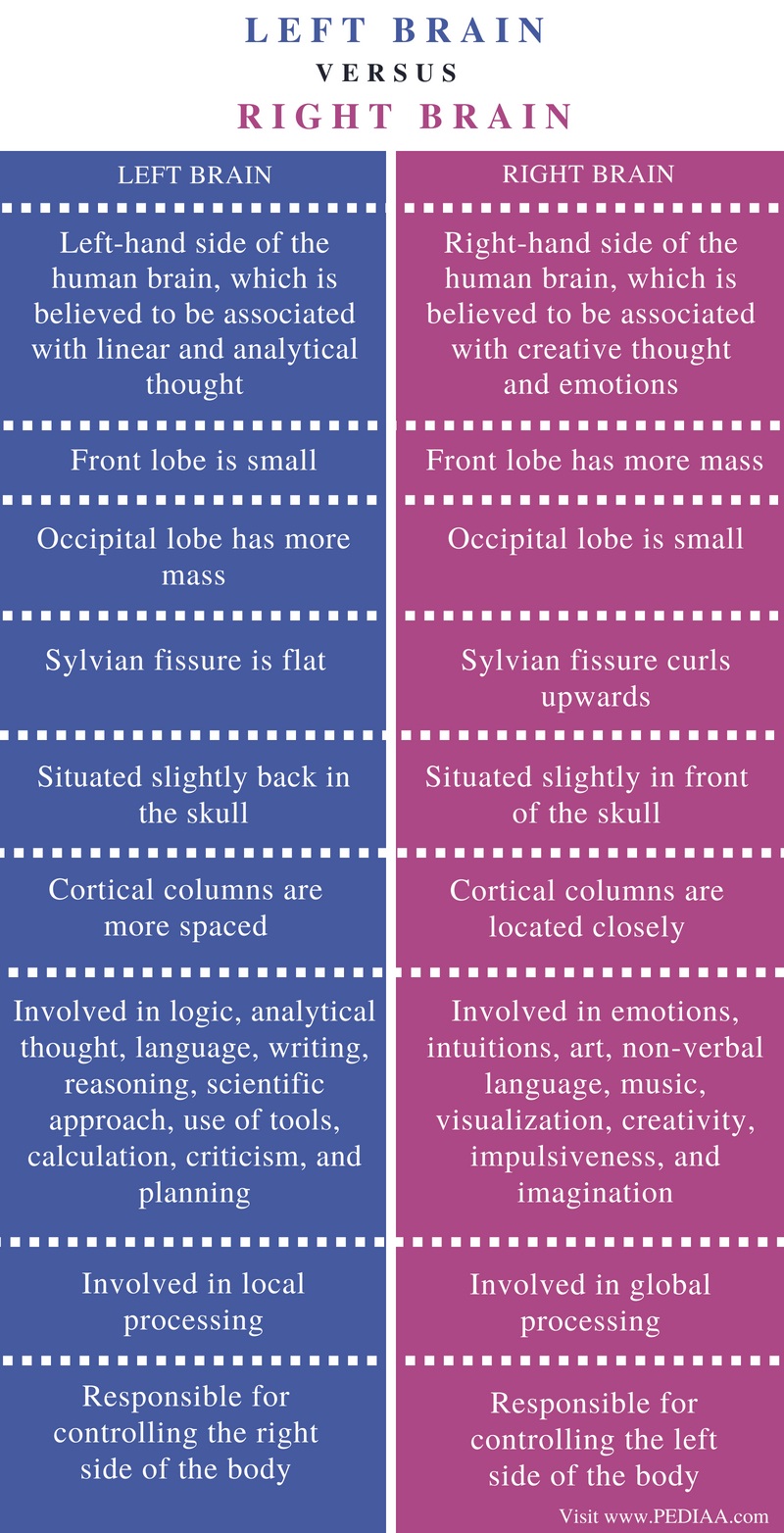 Difference Between Left And Right Brain Pediaacom