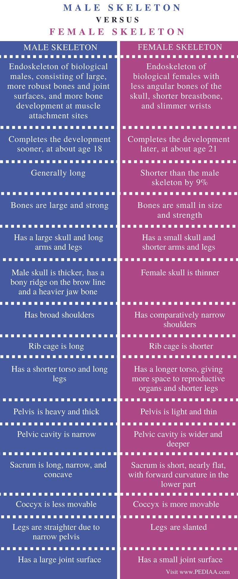 Difference Between Male and Female Skeleton - Pediaa.Com