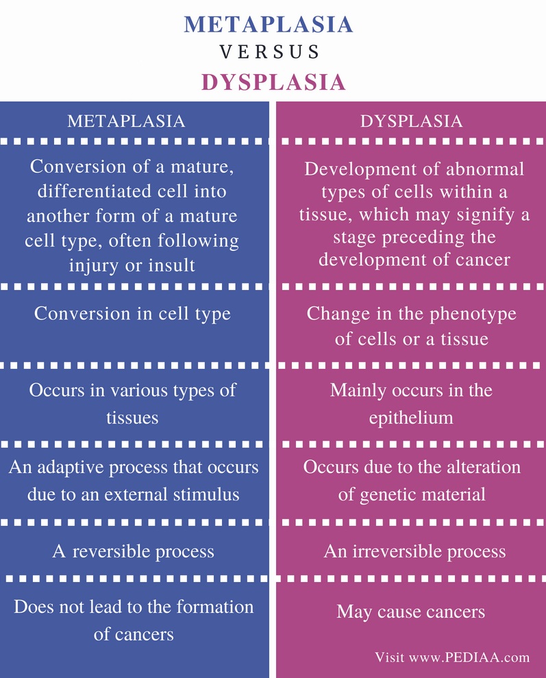Difference Between Metaplasia and Dysplasia - Pediaa.Com
