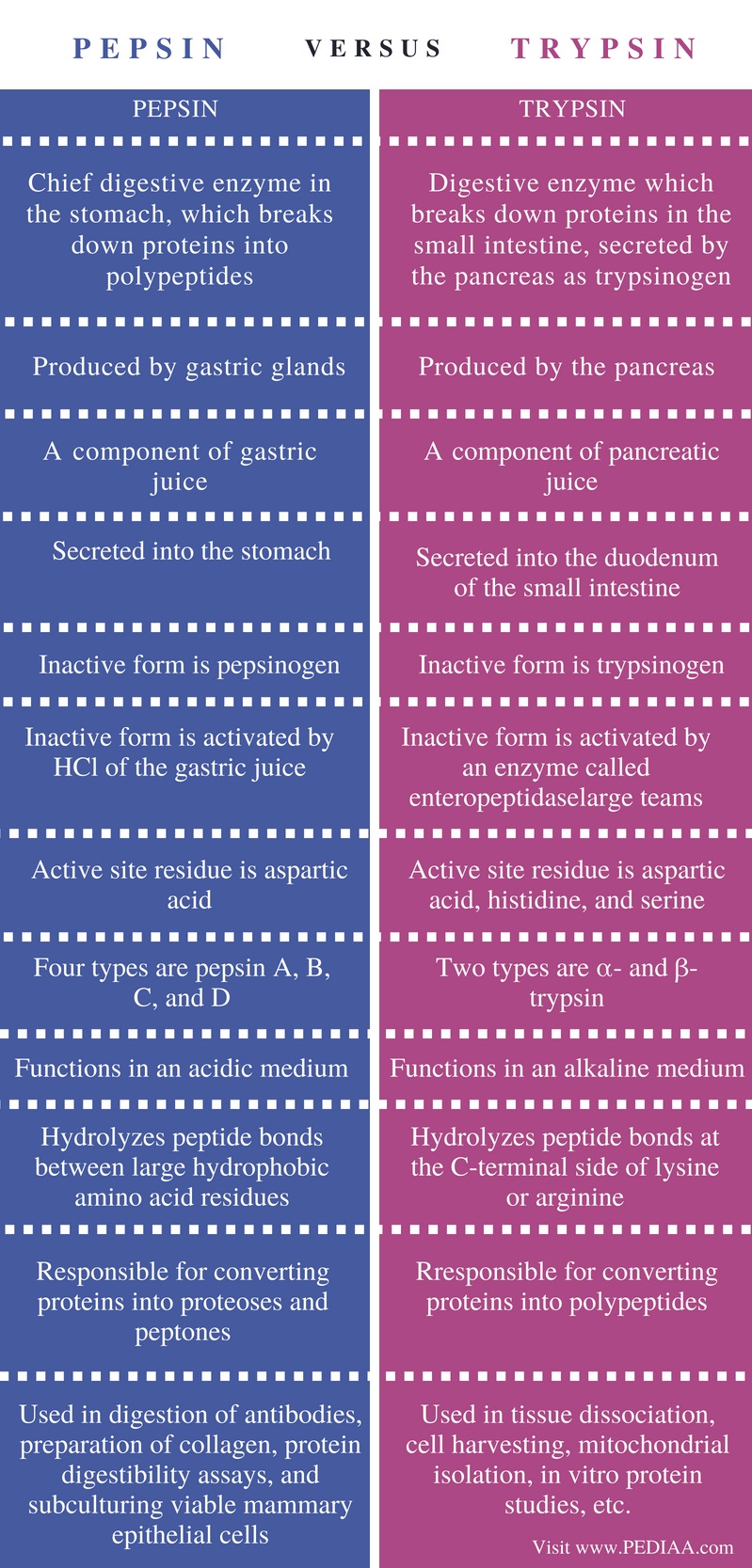 difference-between-pepsin-and-trypsin-pediaa-com