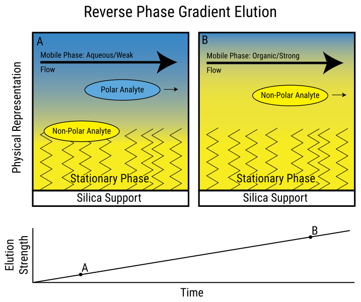 Difference Between Reverse Phase Chromatography and Hydrophobic Interaction Chromatograph