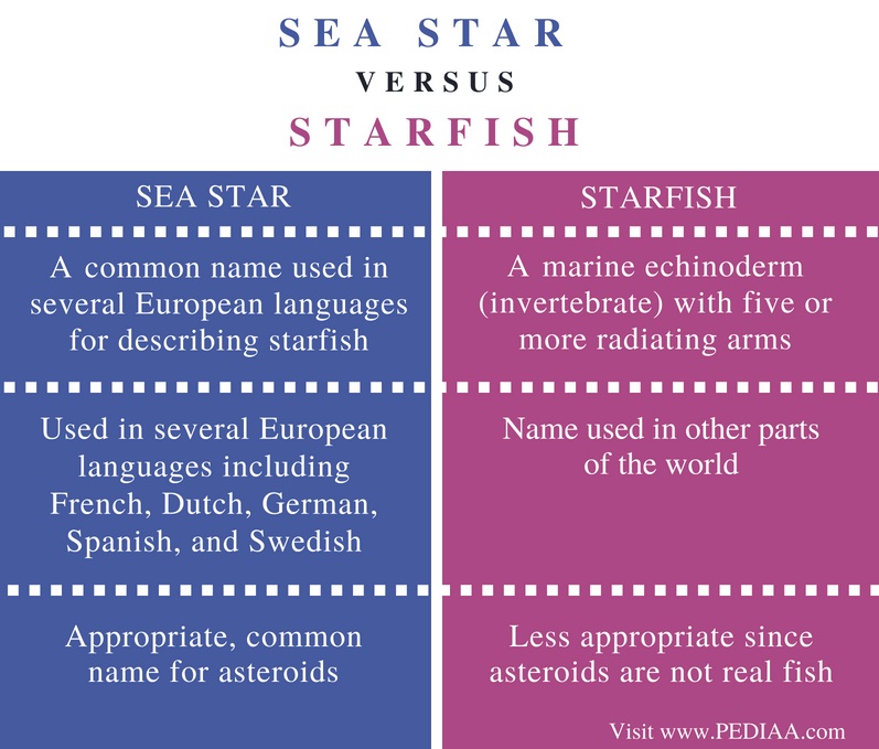 Difference Between Sea Star And Starfish