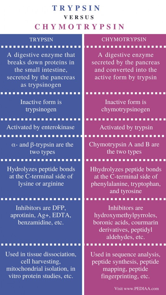 what is trypsin chymotrypsin used to treat