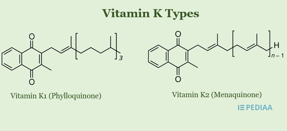 difference-between-vitamin-k-and-k2-pediaa-com