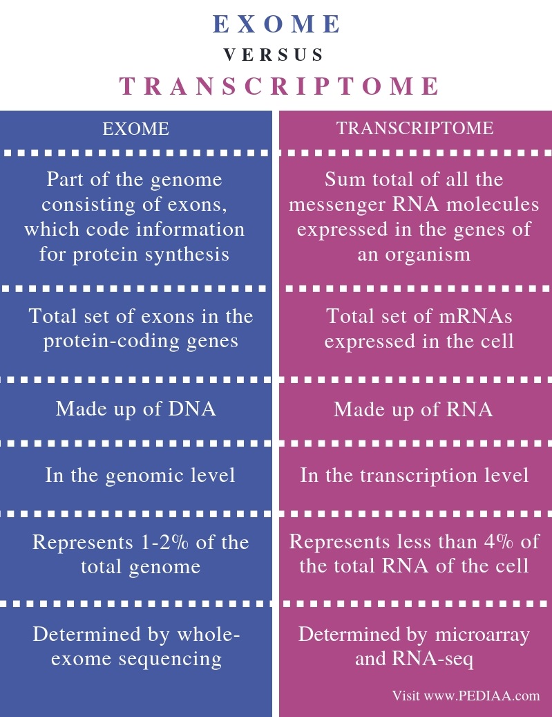 proteome-complexity-as-cellular-complex-microcosm-outline-diagram