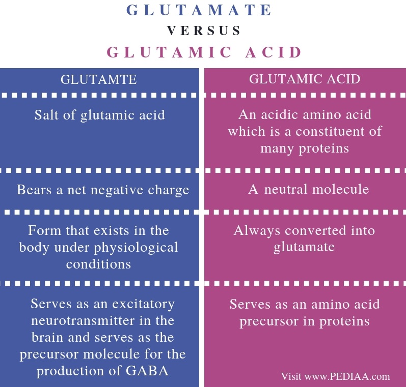 What Is The Difference Between Glutamate And Glutamic Acid Pediaa Com
