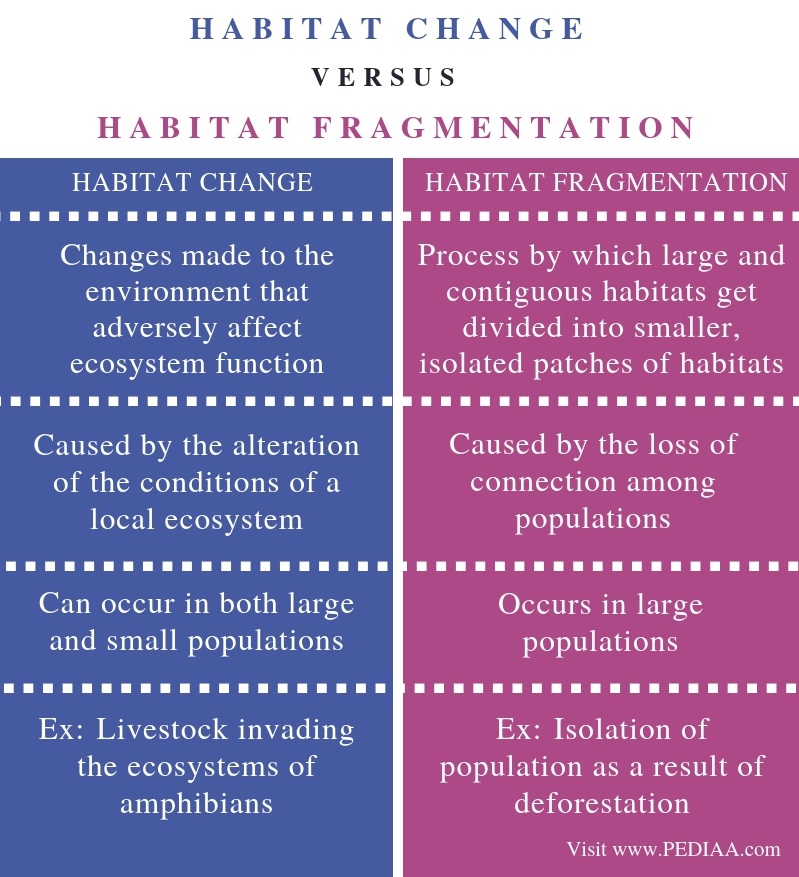 What is the Difference Between Habitat Change and Habitat Fragmentation
