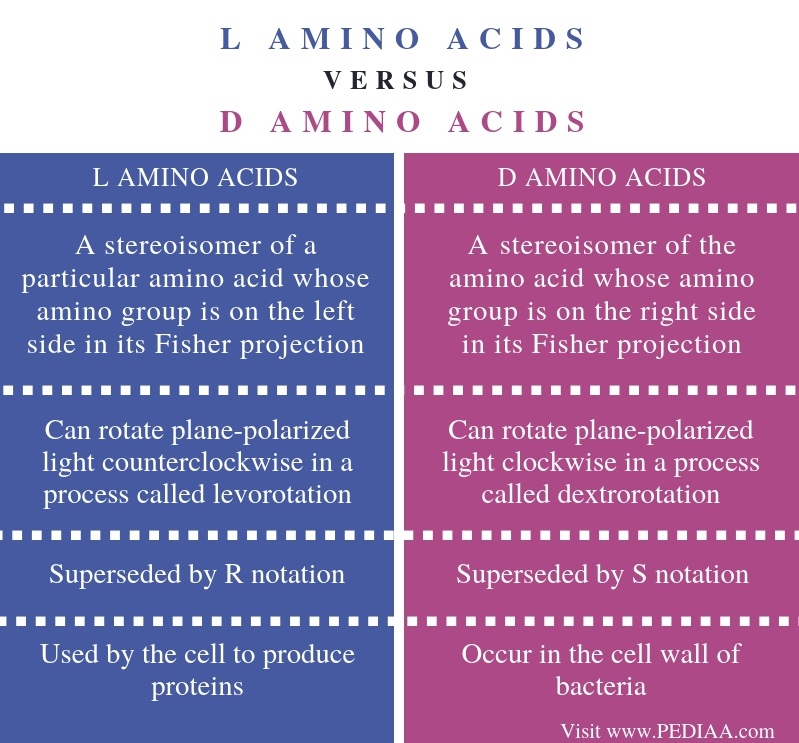 What Is The Difference Between L And D Amino Acids Pediaa Com